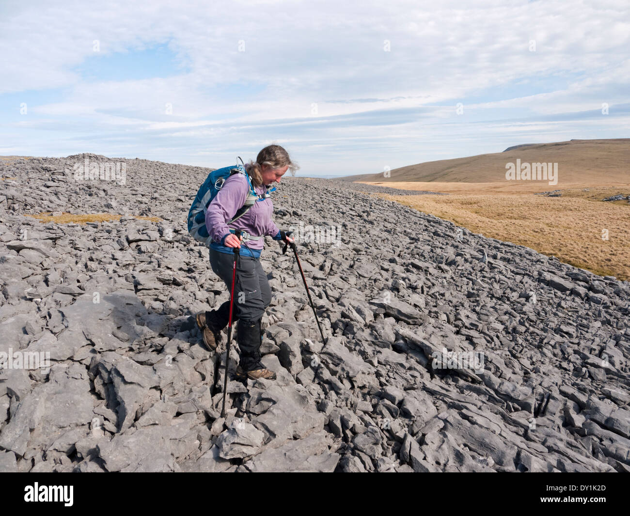 Weibliche Wanderer auf Kalkstein Pflaster an Position yr Ogof, Carmarthen Fan (schwarzer Berg), Brecon-Beacons-Nationalpark Stockfoto