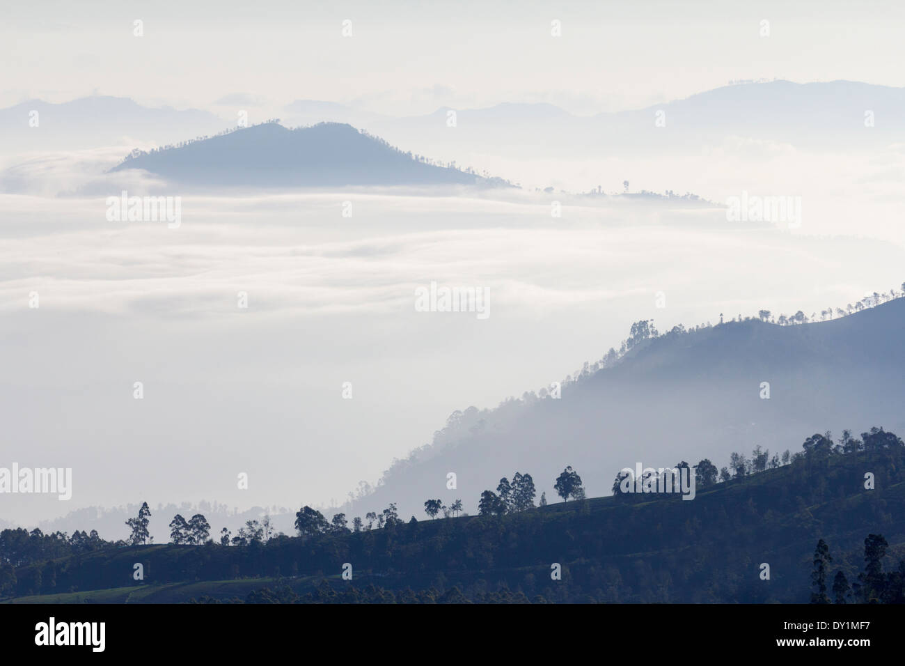 Majestätische frühmorgens Wolke Sea im Sri Lanka Hochland von Nuwara Eliya 8 betrachtet Stockfoto