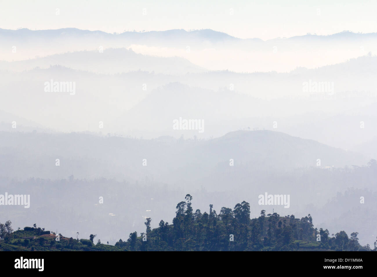 Majestätische frühmorgens Wolke Sea im Sri Lanka Hochland von Nuwara Eliya 4 gesehen Stockfoto