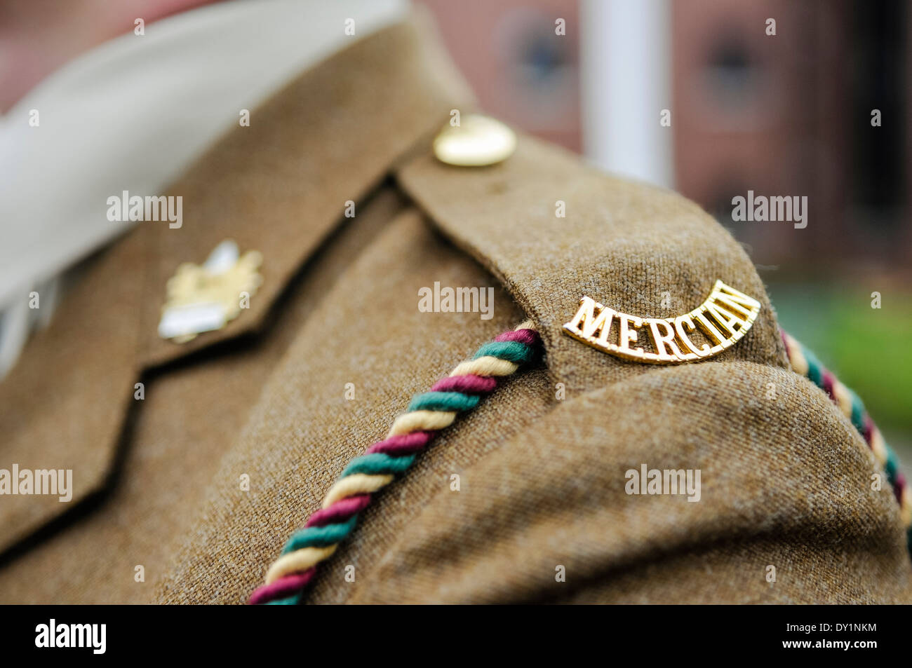 Epilette Abzeichen getragen von einem Soldaten aus dem 2. Batt. Mercian Regiment zeigt ein Eichenblatt und Eichel unter dem Motto "Firma" Stockfoto