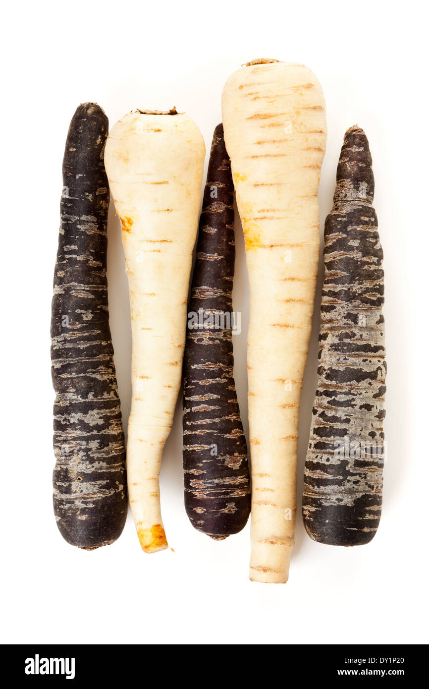 Violette Karotten und Pastinaken Wurzeln von oben auf weißem Hintergrund Stockfoto