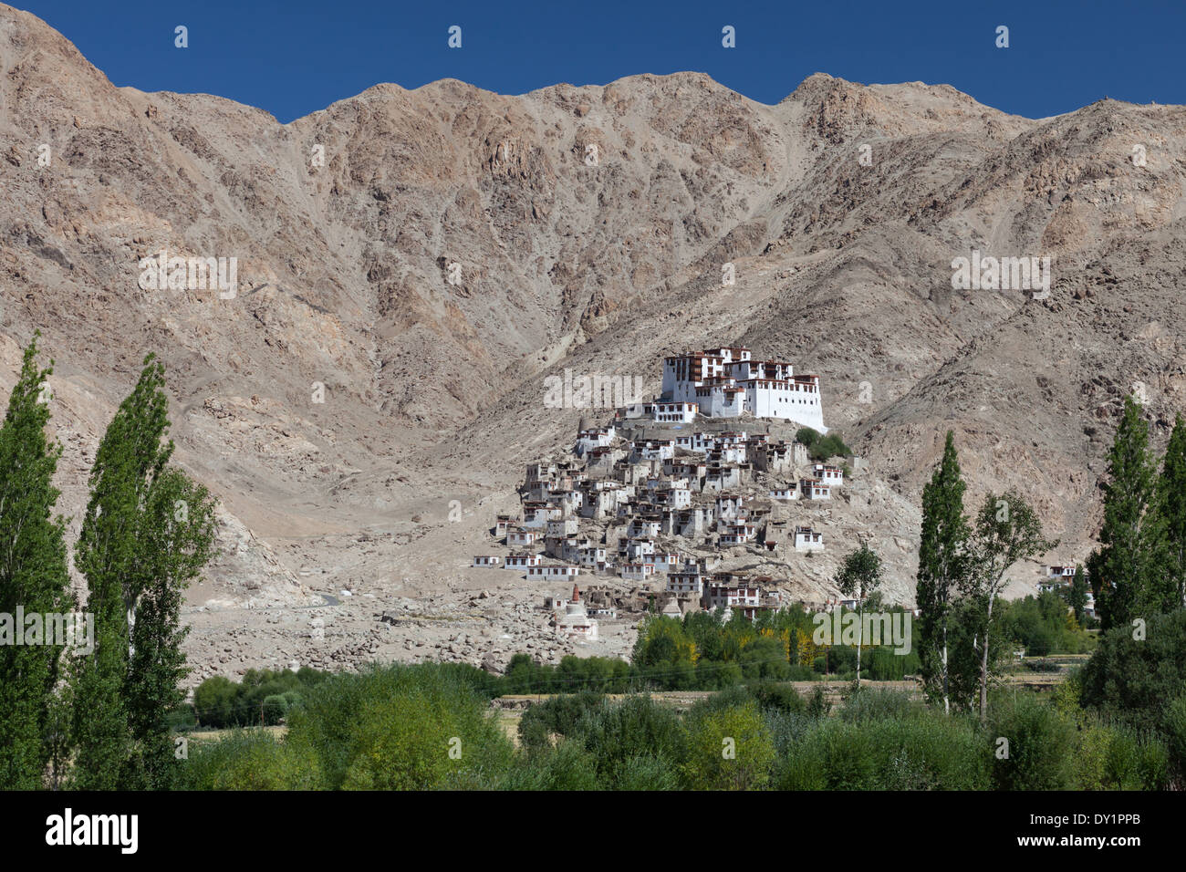 Chemrey Gompa in Berglandschaft, Ladakh, Jammu und Kaschmir, Indien Stockfoto