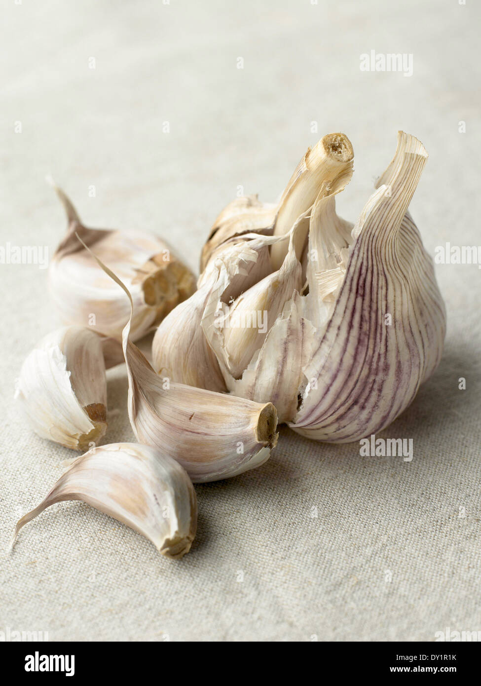 Knoblauchzwiebel auf Tuch Hintergrund Stockfoto