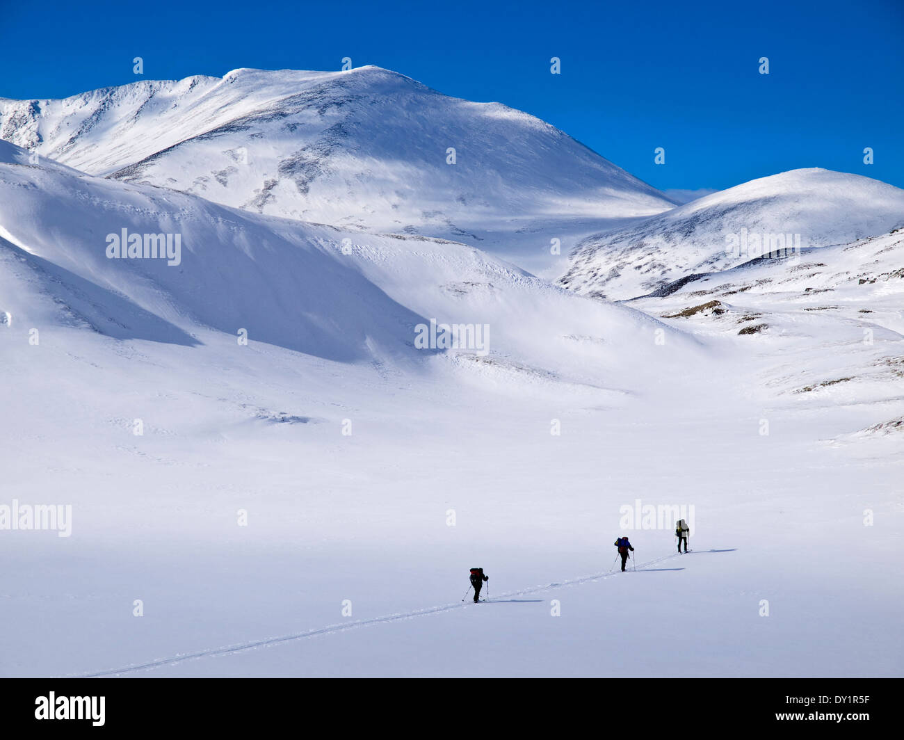 Linie von drei Skifahrer Ski in Rondane, Norwegen Touring Stockfoto