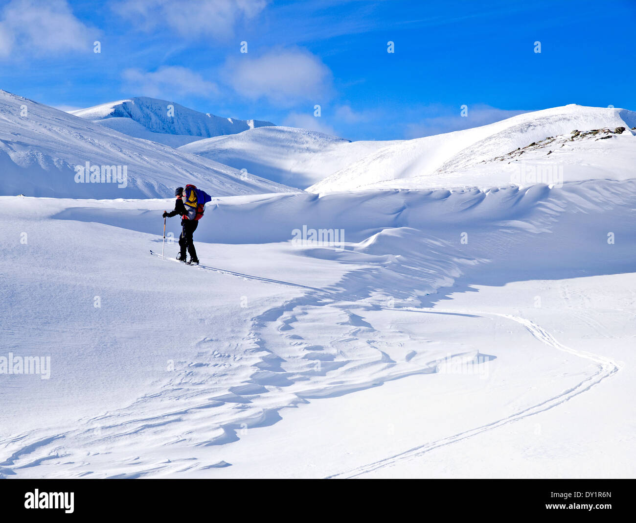 Single Skifahrer Skitouren in Rondane, Norwegen Stockfoto