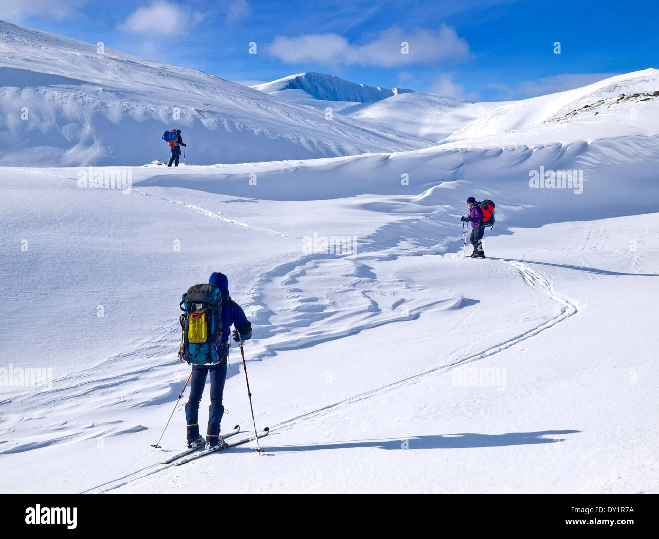 Drei Personen Ski in Rondane, Norwegen Touring Stockfoto