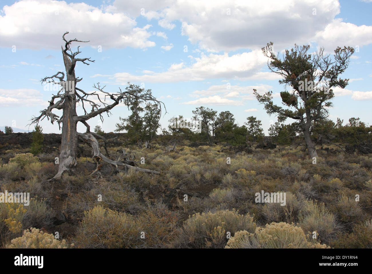 Krater des Mond-Nationalparks in Idaho Foto von Jen Lombardo Stockfoto