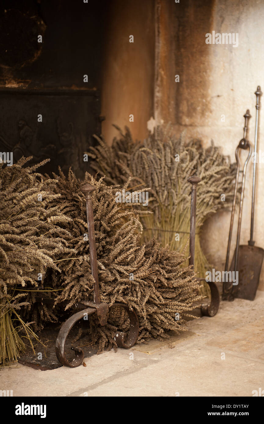 Getrockneten Lavendel Trauben in den Rost von einem alten Kamin Stockfoto