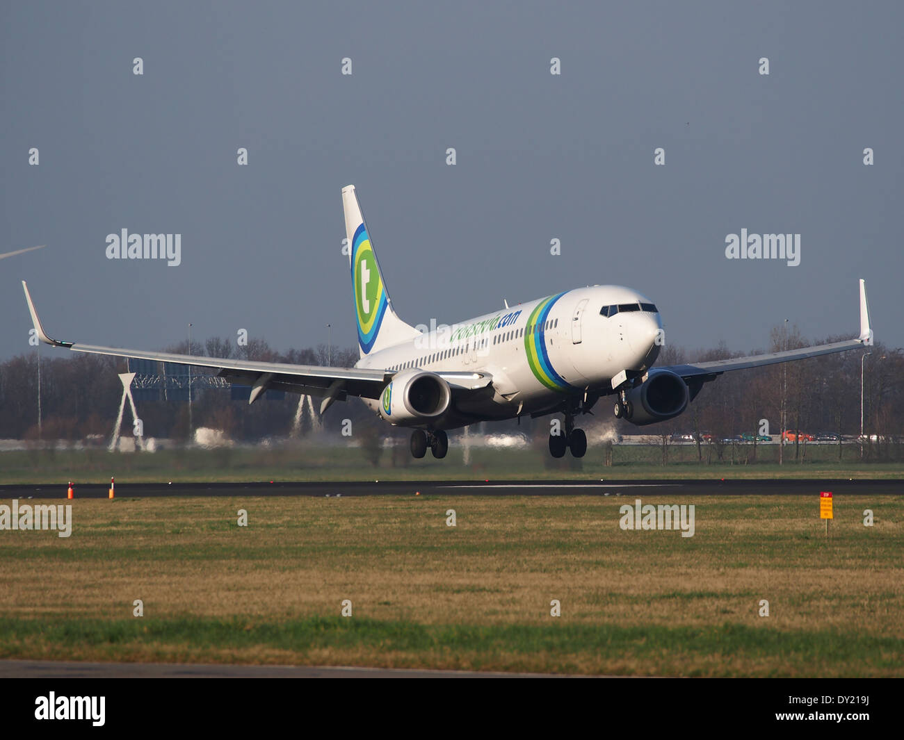 PH-HSB Transavia Boeing 737-8K2(WL), Landung auf dem Flughafen Schiphol (AMS - EHAM), Niederlande, pic1 Stockfoto