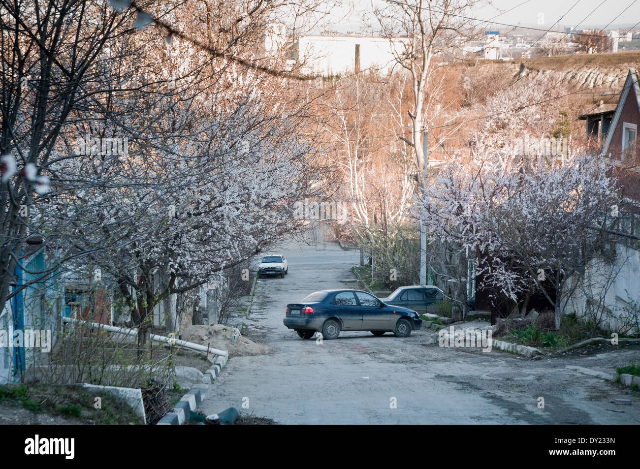 Seitenstraße in Stadt Simferopol, Krim Stockfoto