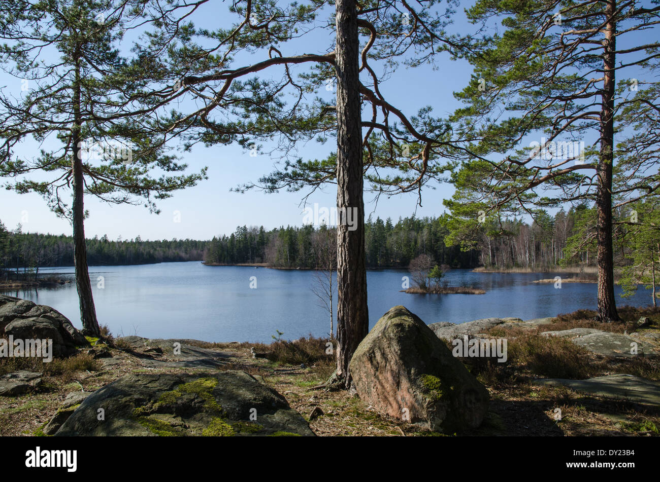 Ruhige See in den Wäldern der Provinz Småland in Schweden Stockfoto
