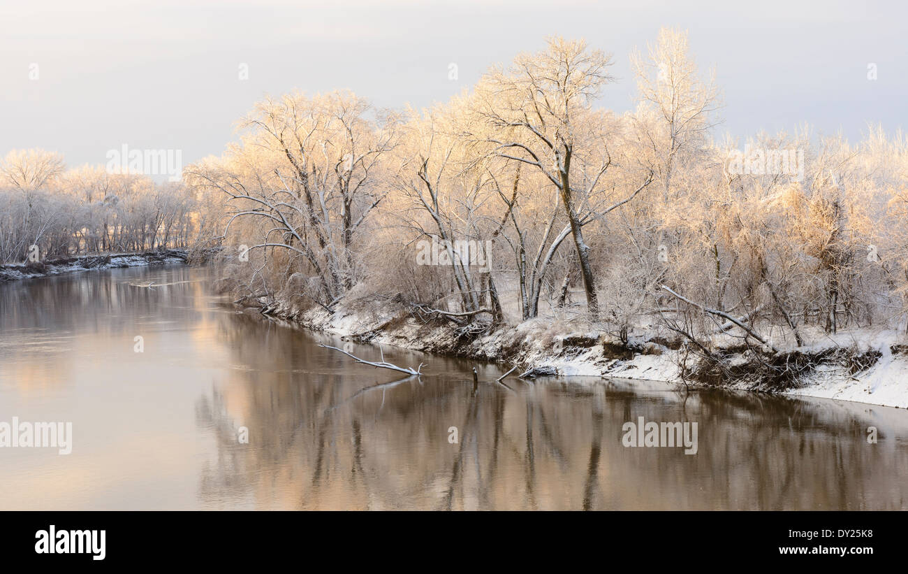 Frühlingsschnee umfasst Bäume entlang des Minnesota River in Bloomington. Stockfoto