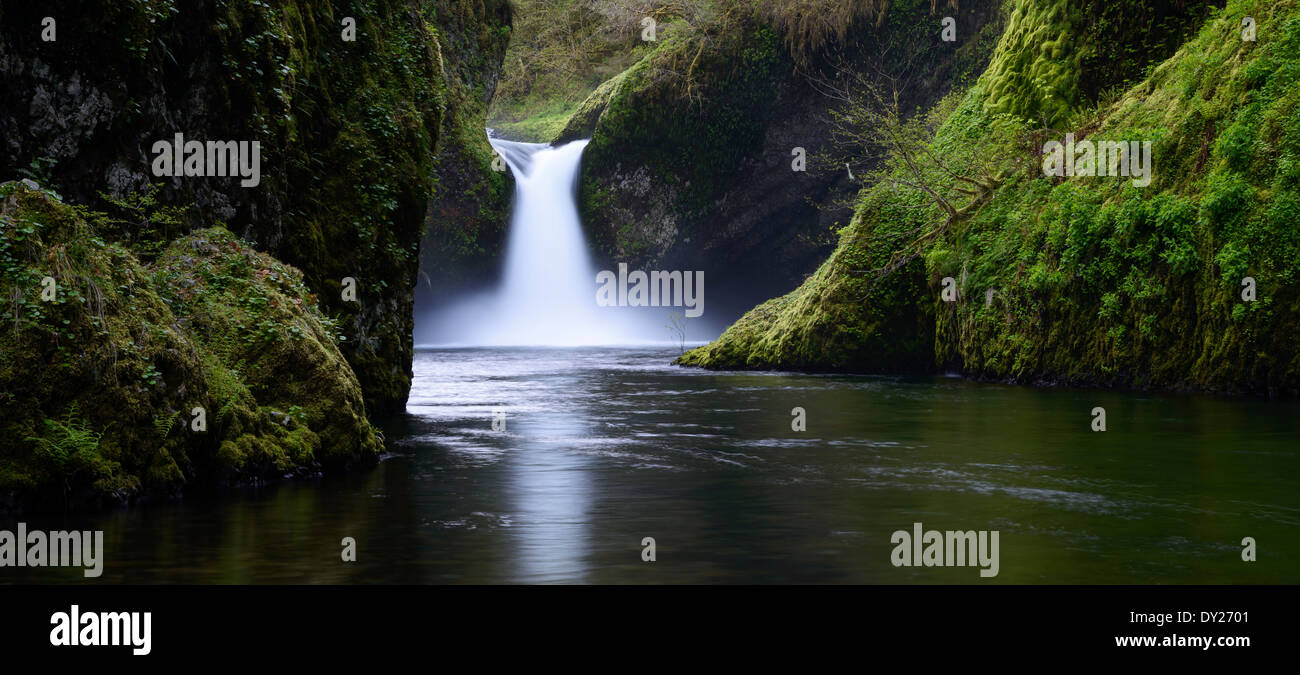 Punchbowl fällt auf Eagle Creek entlang des Columbia River Gorge. Stockfoto