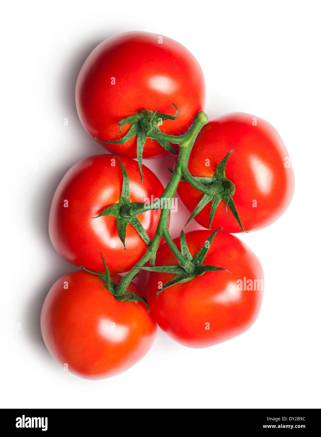 Rote Tomaten auf weißem Hintergrund. Ansicht von oben Stockfoto