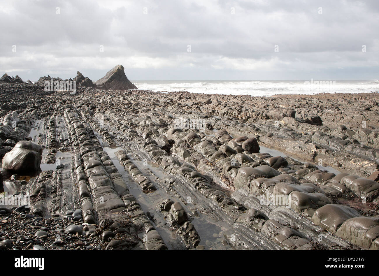 Felsigen Welle schneiden Plattform erosive Landschaftsformen mit Bergrücken gebildet von erodierten geneigten Schichten am Hartland Quay, North Devon, England Stockfoto