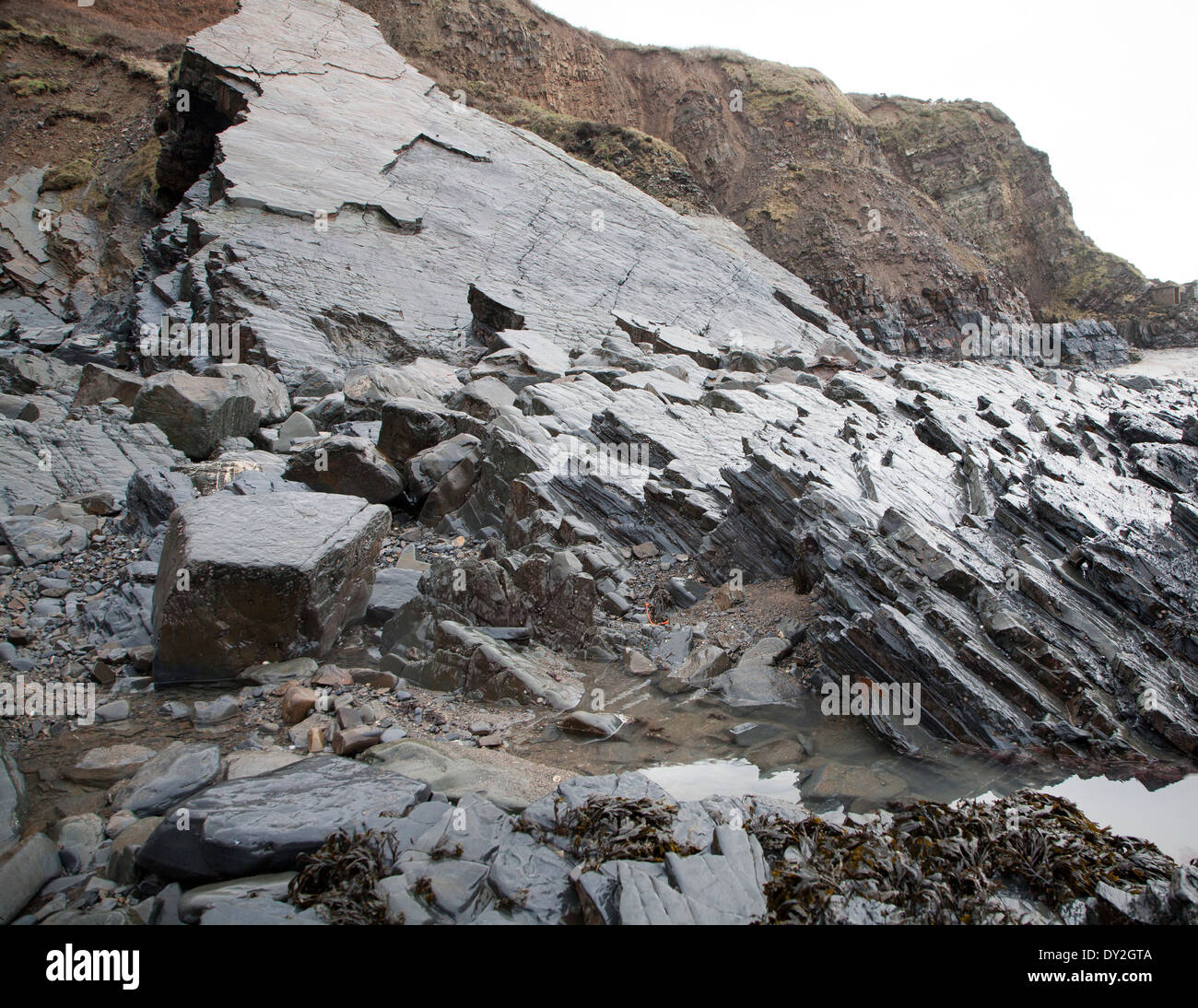 Felsigen Welle schneiden Plattform erosive Landschaftsformen mit Bergrücken gebildet von erodierten geneigten Schichten am Hartland Quay, North Devon, England Stockfoto