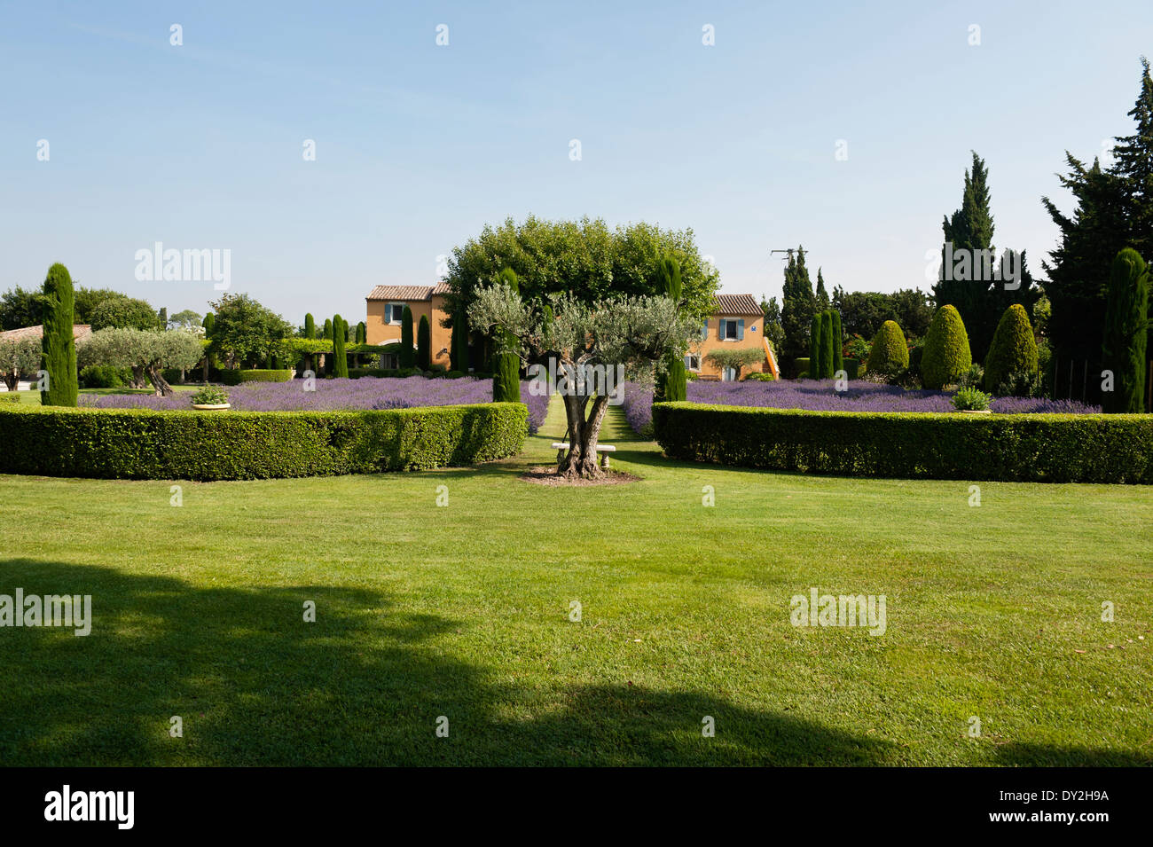 Außenfassade des provenzalischen Bauernhaus aus Garten von Lavendel, Zypressen und Buxus sehen Stockfoto