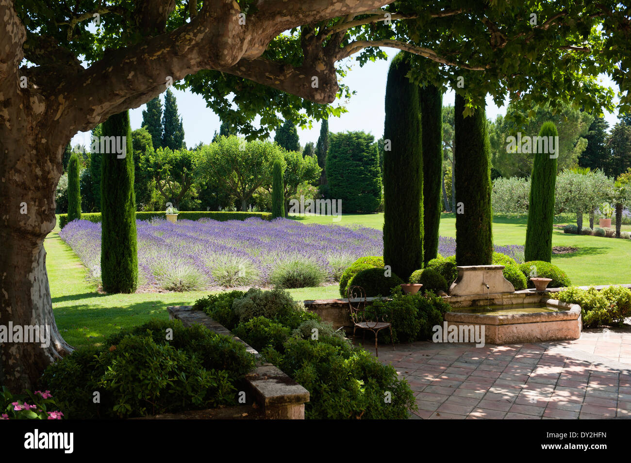 Geflieste Terrasse und Stein Brunnen im provenzalischen Garten mit Olivenhain, Lavendel und Zypressen Stockfoto