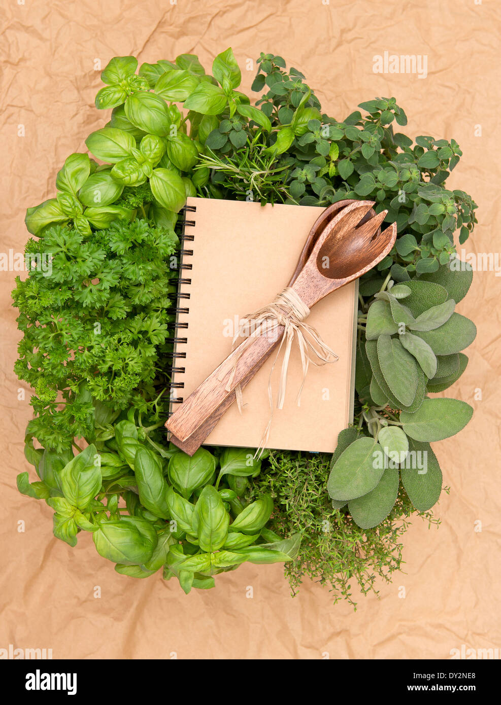 leere Rezeptbuch mit verschiedenen frischen Kräutern und Dekoration. Kochen Hintergrund Stockfoto