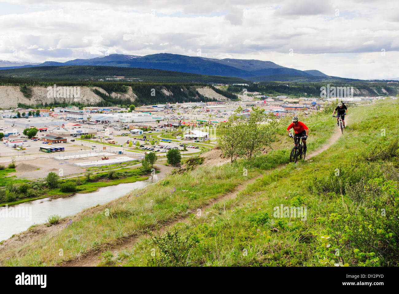 Zwei Mountainbiker fahren eine Strecke in Whitehorse, Yukon Territorium, Kanada Stockfoto