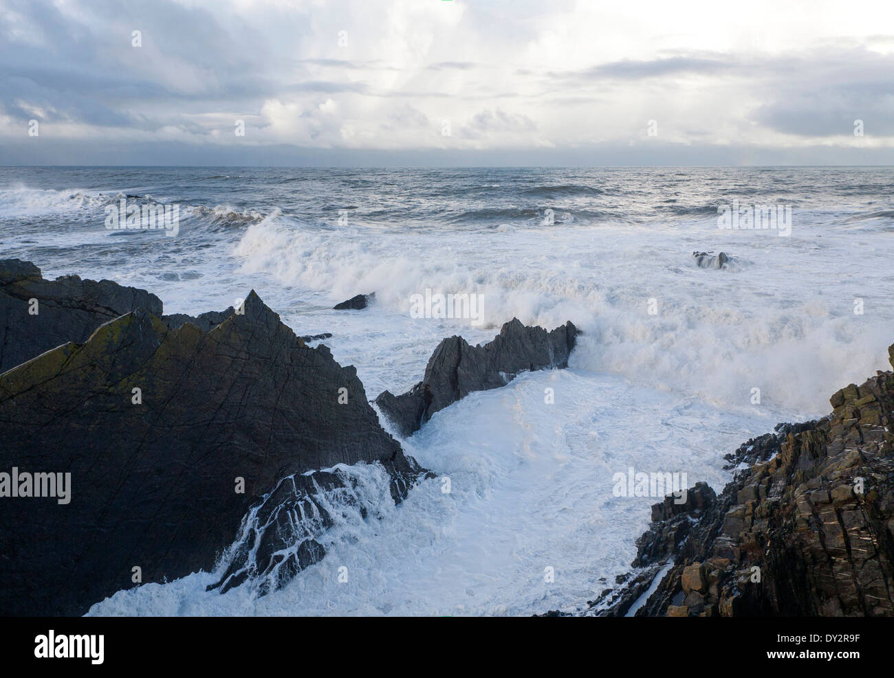Großen Atlantic Sturm-Wellen, die auf schroffen Felsenküste am Hartland Quay, North Devon, England Stockfoto