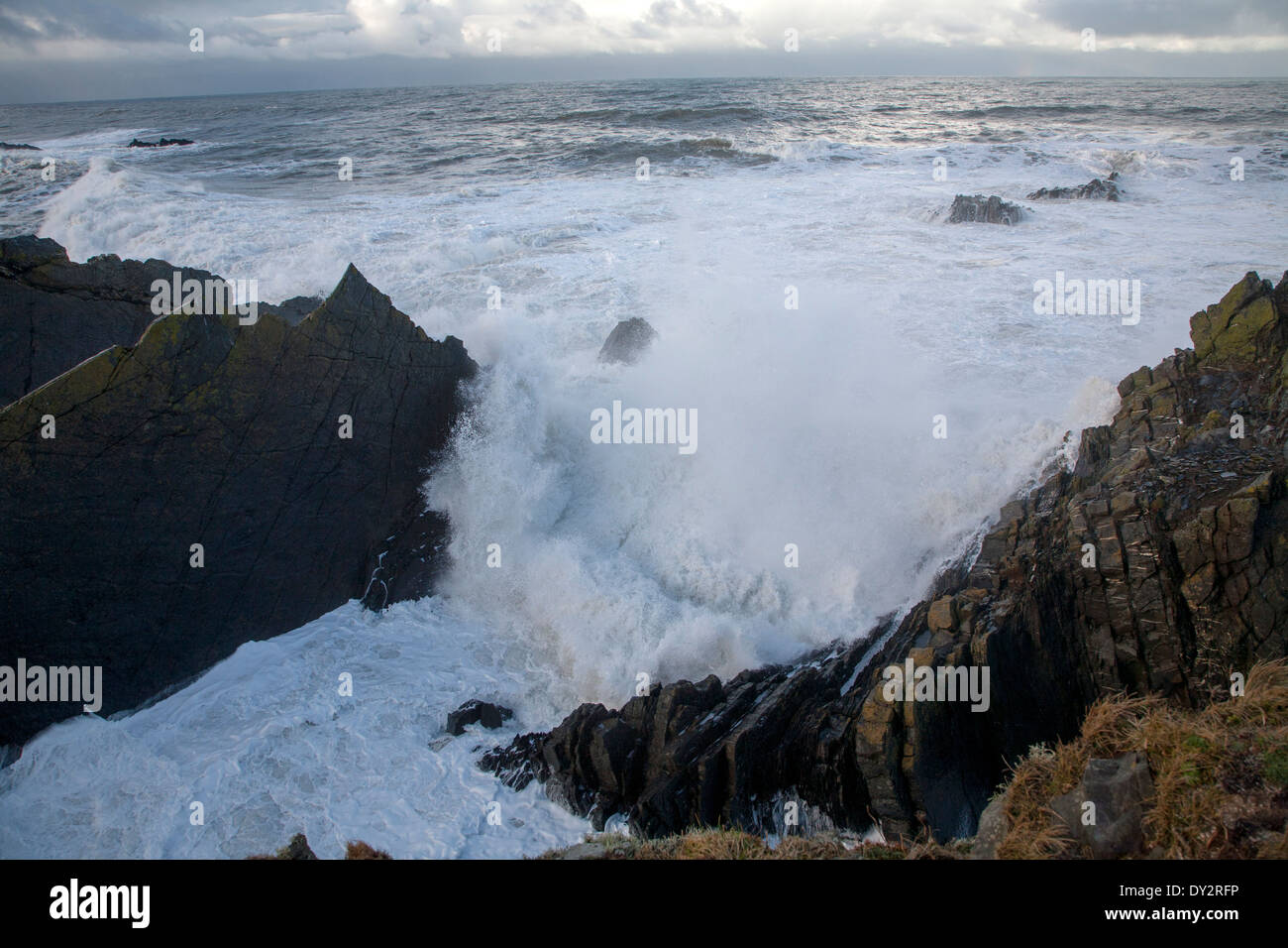 Großen Atlantic Sturm-Wellen, die auf schroffen Felsenküste am Hartland Quay, North Devon, England Stockfoto