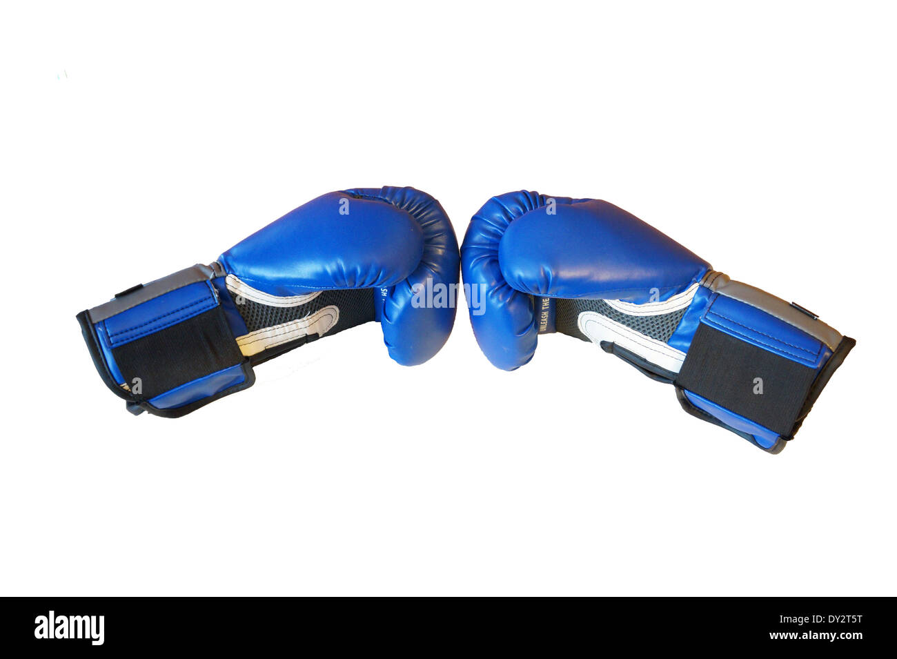 Blaue Boxhandschuhe Stockfoto