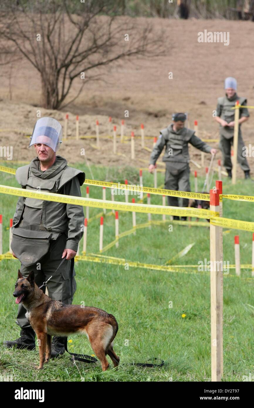 Visoko. 4. April 2014. Minenräumer teilnehmen an Übungen in der Nähe von Visoko in Bosnien und Herzegowina (BiH), am 4. April 2014, der International Mine Action Day. Mit Hilfe der internationalen Gemeinschaft will Bosnien und Herzegowina alle Minen innerhalb des Landes bis 2020 deutlich. © Haris Memija/Xinhua/Alamy Live-Nachrichten Stockfoto