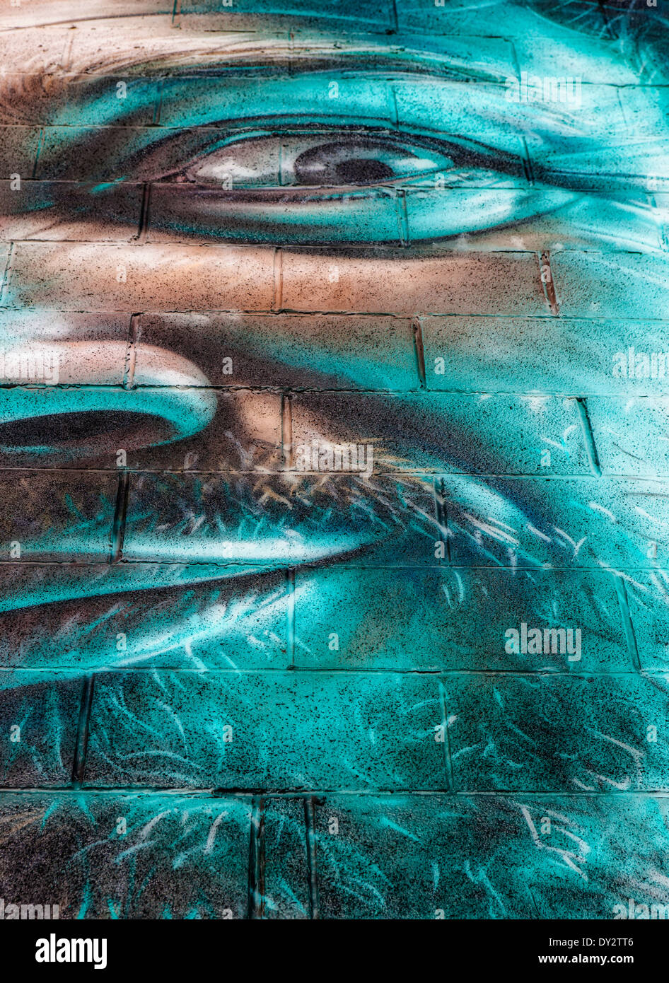 Gesicht Auge Blackpool Graffiti Farbe Design Kunst Muster Wand