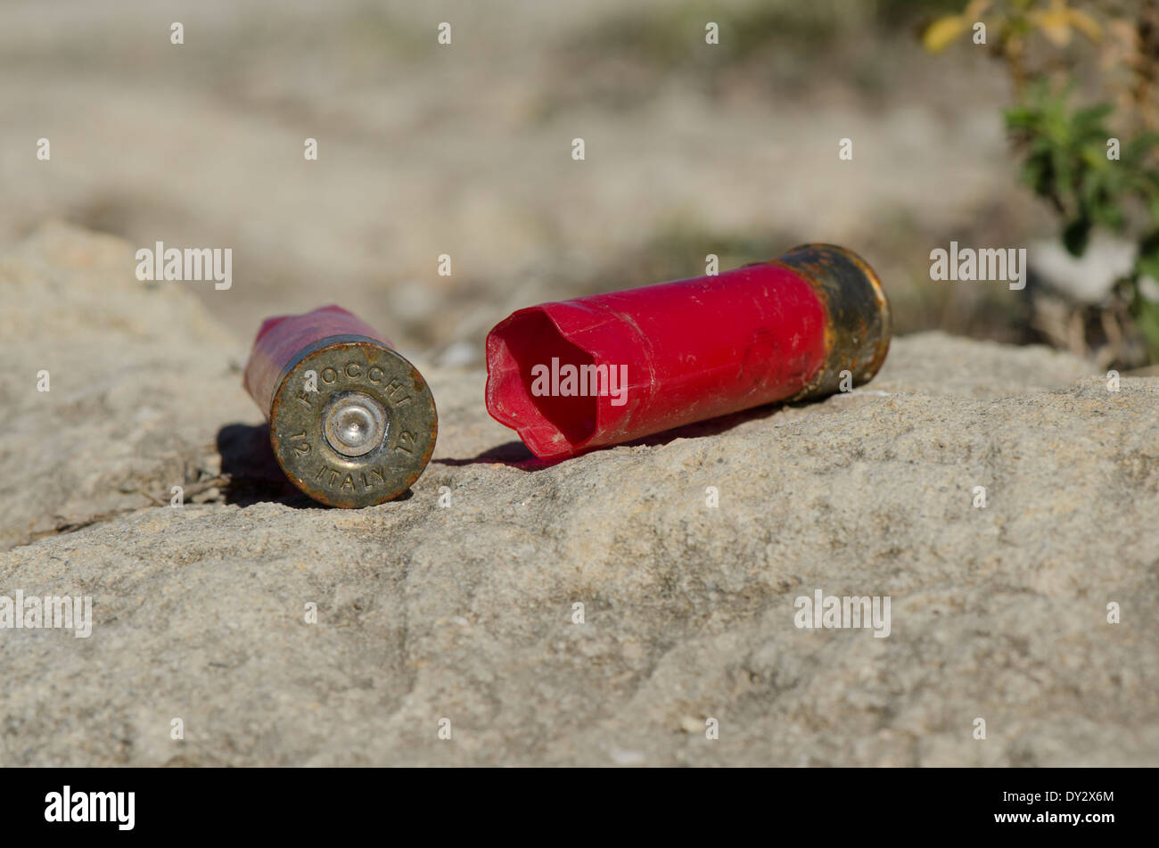Leere Schrotflinte Granaten Munition zurückgelassen von Jägern in Landschaft, Spanien. Stockfoto