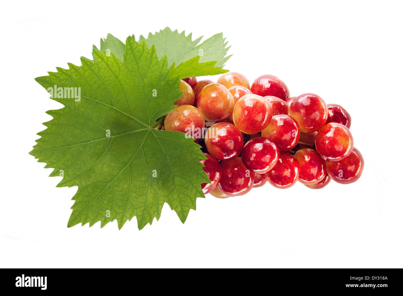 Reife Trauben mit Blatt, isoliert auf weißem Hintergrund. (mit Beschneidungspfad Arbeit) Stockfoto