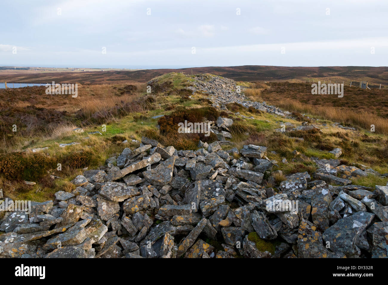 Reste einer prähistorischen lange Cairn auf Erdbeerbaum-Archäologie Trail, Caithness, Schottland, UK Stockfoto