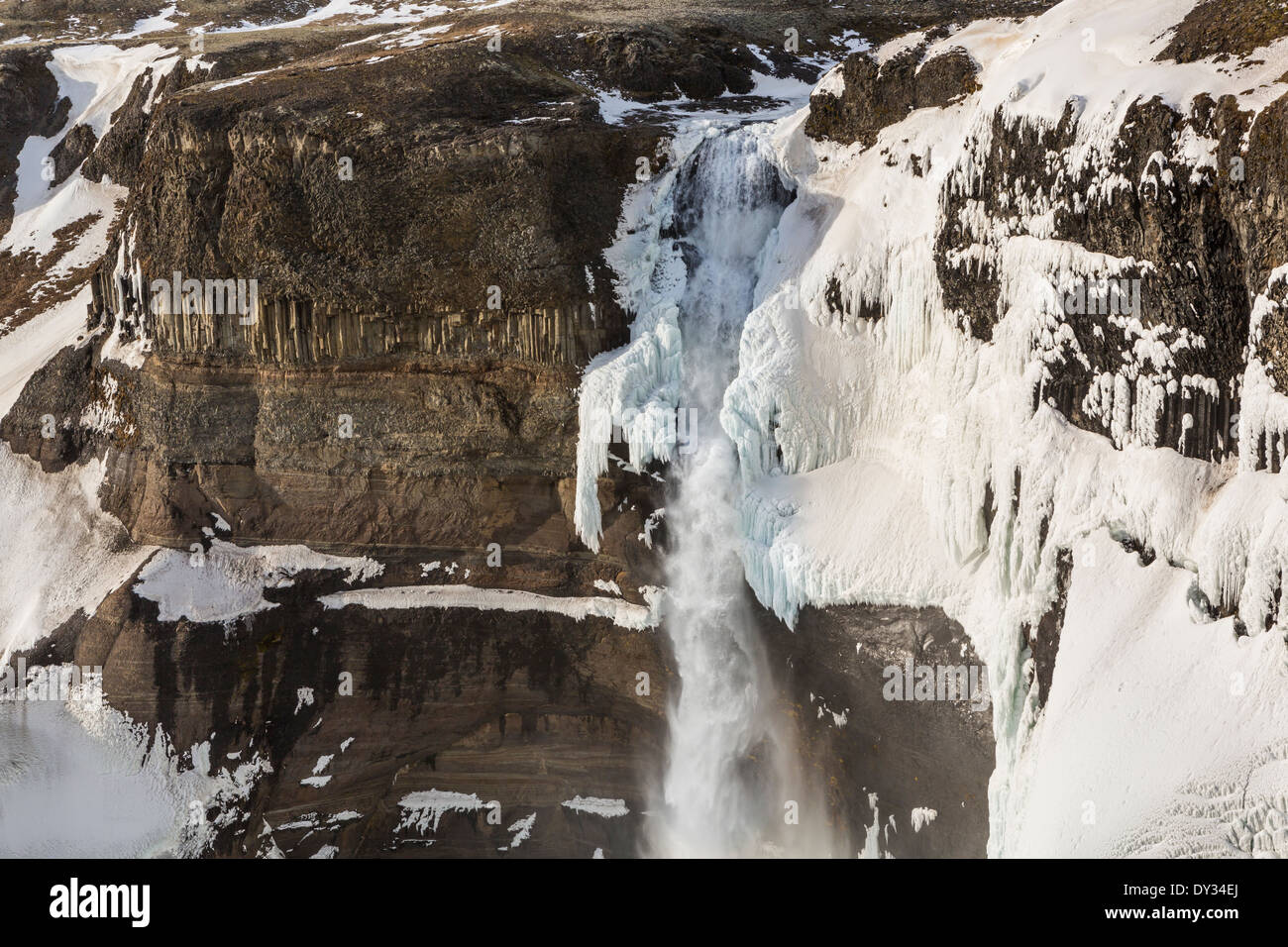 Haifoss, die zweite höchste Wasserfälle in Island, 122m stürzt in eine gefrorene Schlucht in central Island. Stockfoto