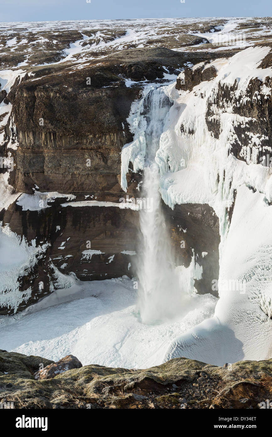 Haifoss, die zweite höchste Wasserfälle in Island, 122m stürzt in eine gefrorene Schlucht in central Island. Stockfoto