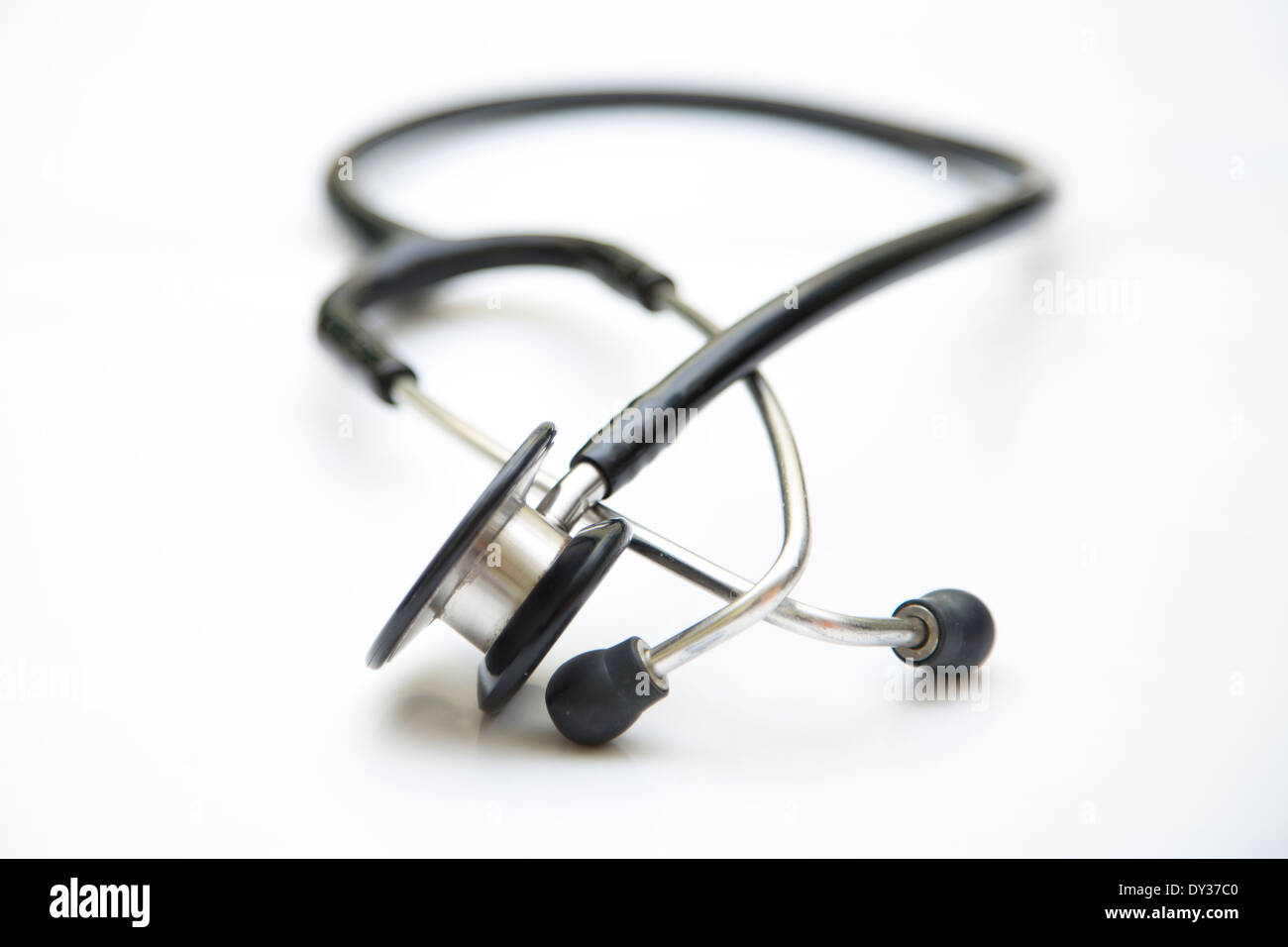 Ein Littmann STETHOSKOP fotografiert in einer Tierklinik. Stockfoto