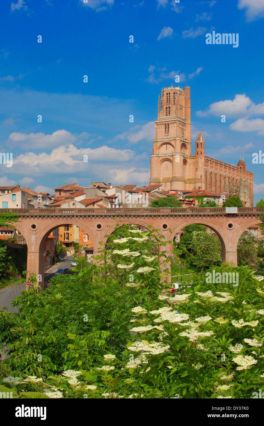 Albi, Kathedrale, Kathedrale von Saint Cecile, Ste Cecile Cathedrale, Sainte Cecile Kathedrale, Tarn, Midi-Pyrenäen, Frankreich. Europa Stockfoto