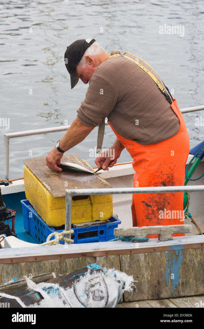 Fischer am Boot im Hafen von Findochty, Aberdeenshire, Schottland. Stockfoto