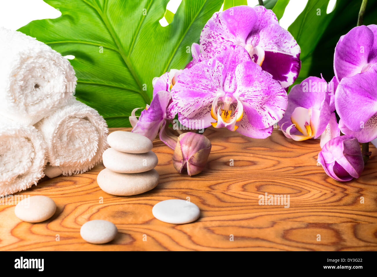 Spa und Wellness-Ambiente mit Orchidee, Kieselsteine und Handtuch Stockfoto