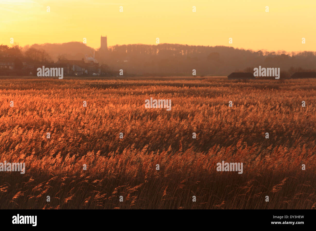 Cley Windmühle gesehen in den Sümpfen in der Abenddämmerung. Stockfoto