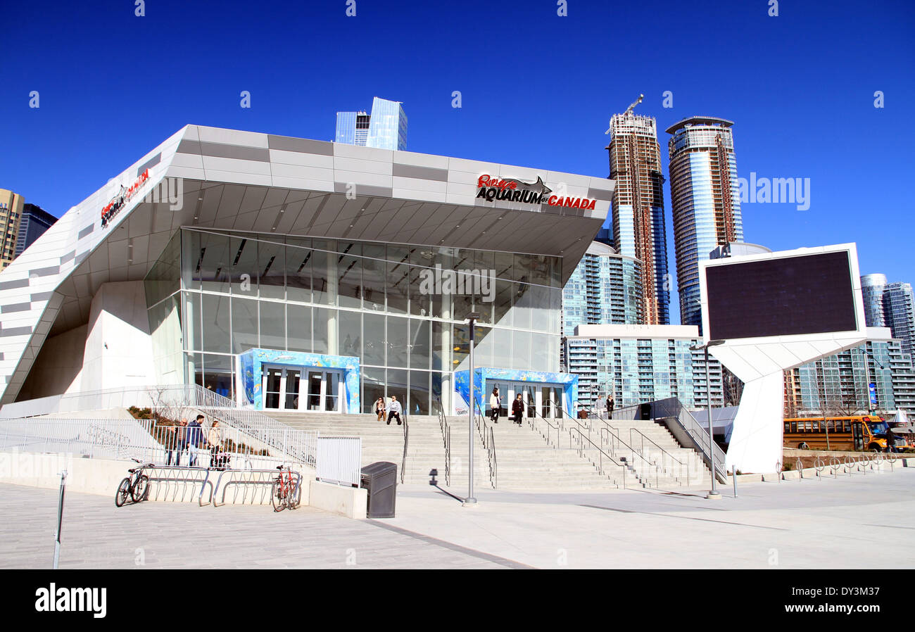 Ripley Aquarium of Canada in Toronto, Kanada Stockfoto