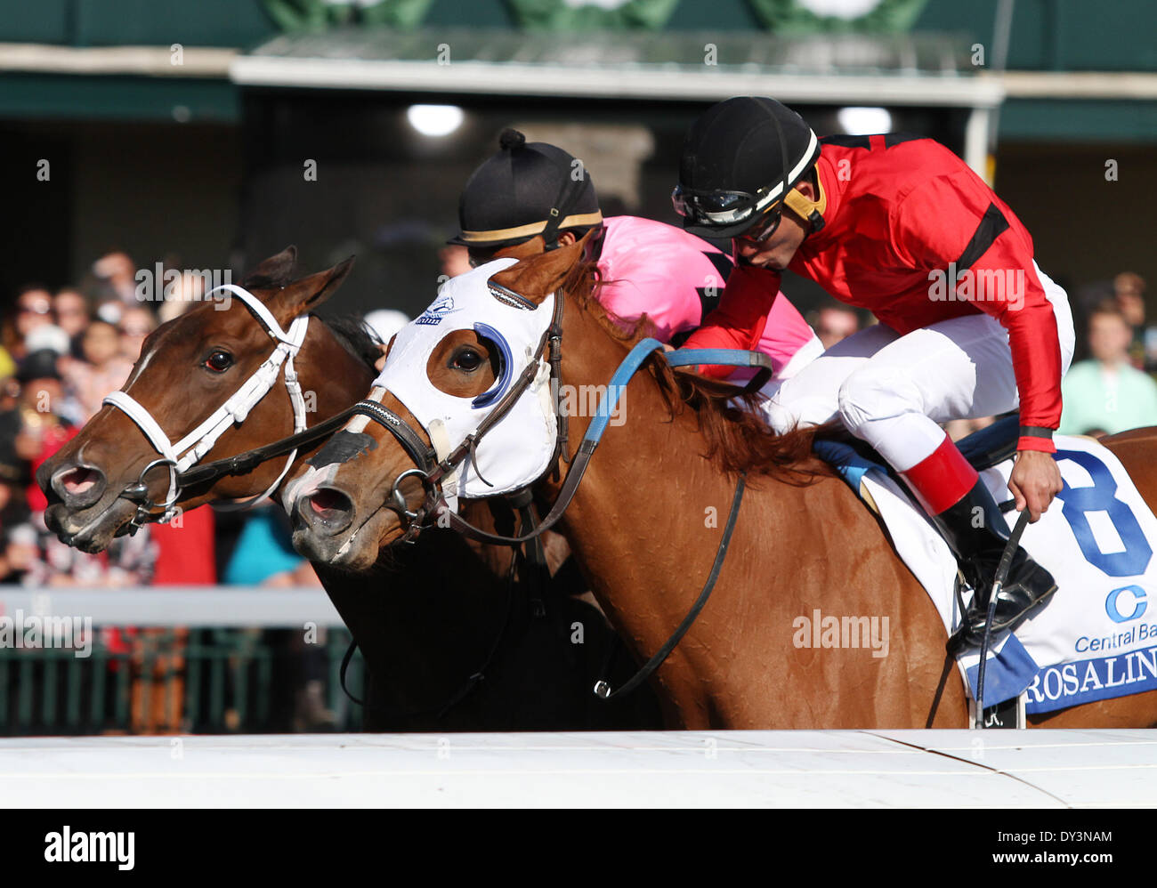 Lexington, KY, USA. 5. April 2014. 5. April 2014: #8 Rosalind und jockey Joel Rosario und #2 Zimmerservice und Jockey, Shaun Bridgmohan gewinnt ein totes Rennen im 77. Rennen von der Zentralbank Ashland Grade 1 $500.000 bei Keeneland Rennstrecke. Rosalind ist von Kenneth McPeek geschult und im Besitz von Landaluce Educe Ställe und Zimmerservice ist von Wayne Catalano geschult und im Besitz von Gary und Mary West. Candice Chavez/ESW/CSM/Alamy Live-Nachrichten Stockfoto