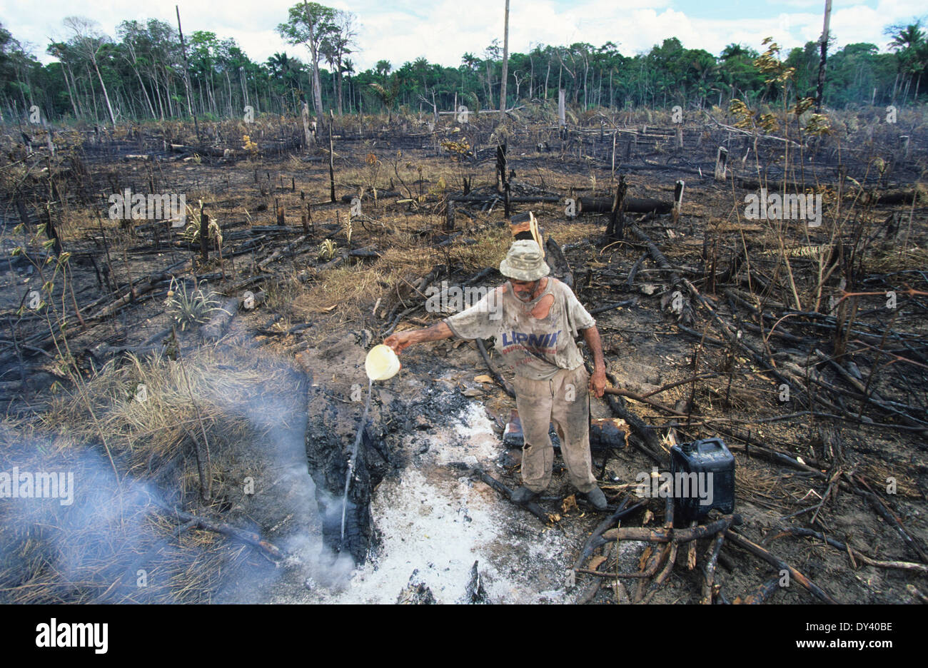 Tropischer Regenwald, Schrägstrich und Anbau von lokalen Siedler, Brände zu verbrennen. Amazonas, Roraima, Boa Vista, Brasilien Stockfoto