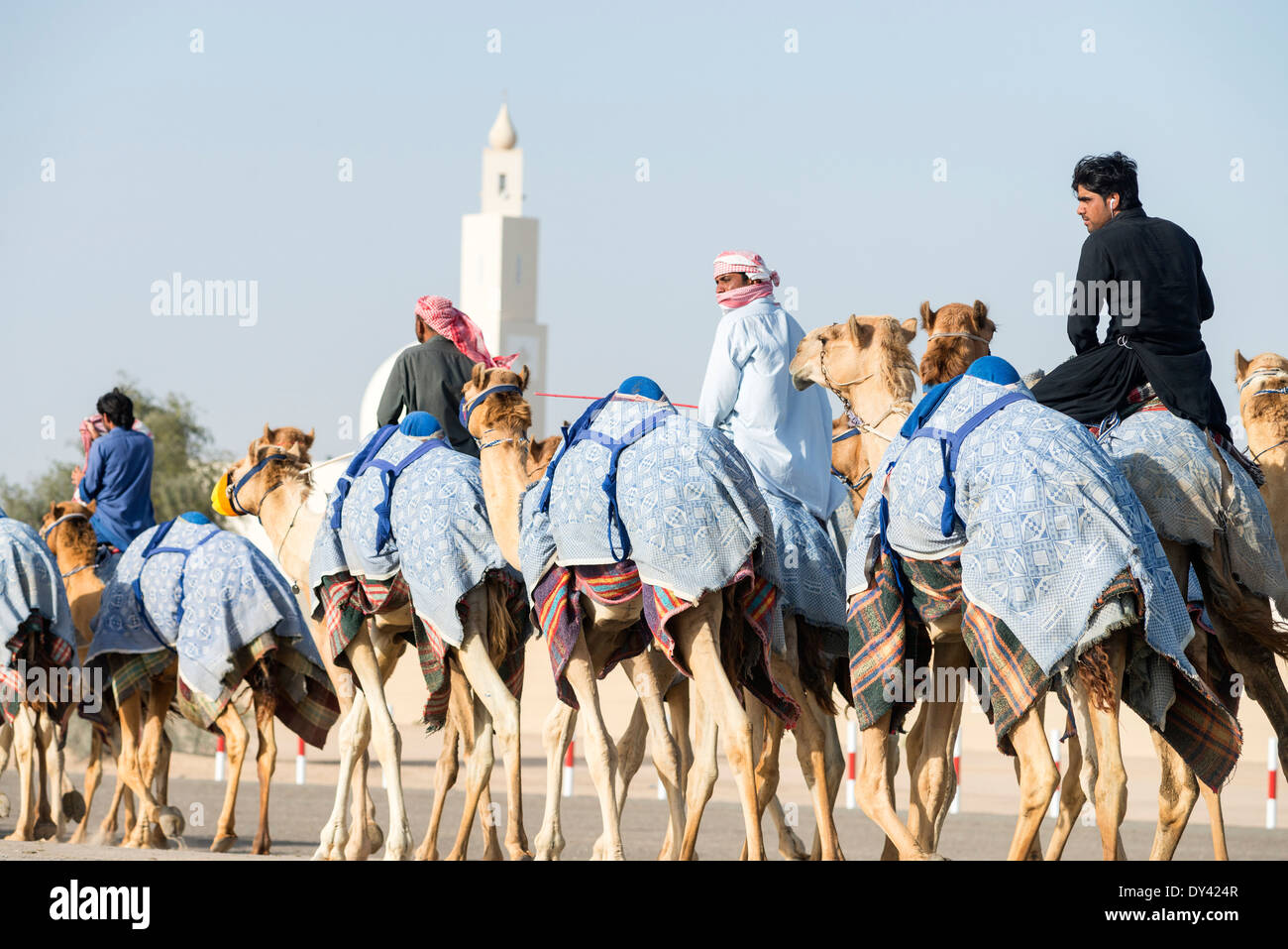 Kamelrennen Festival auf Al Marmoum Kamelrennen Rennstrecke in Dubai Vereinigte Arabische Emirate Stockfoto