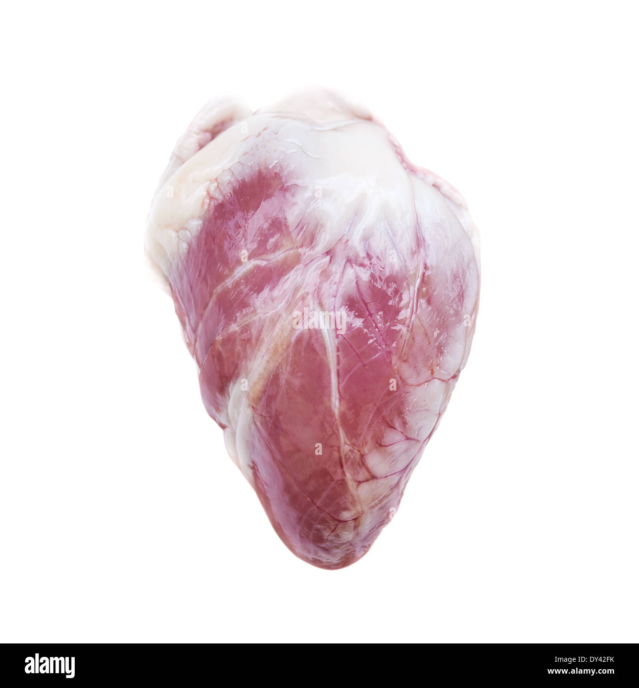 Rohe tierische Herz Stockfoto