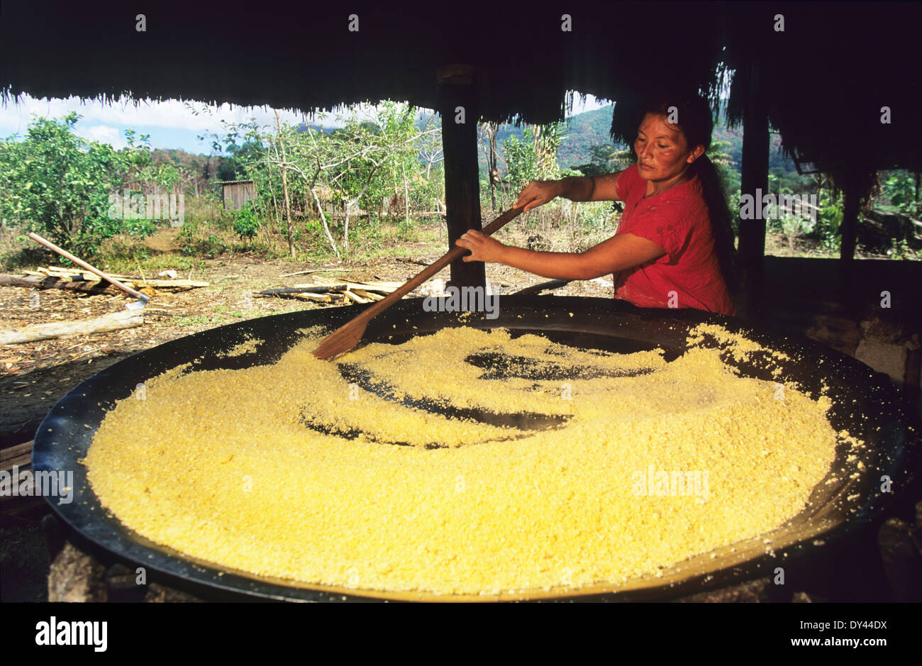 Macuxi Inder Vorbereitung und Kochen Heften Lebensmittel, Maniok, Mais Mehl. Provinz von Roraima, Brasilien, Amazonas, Südamerika Stockfoto