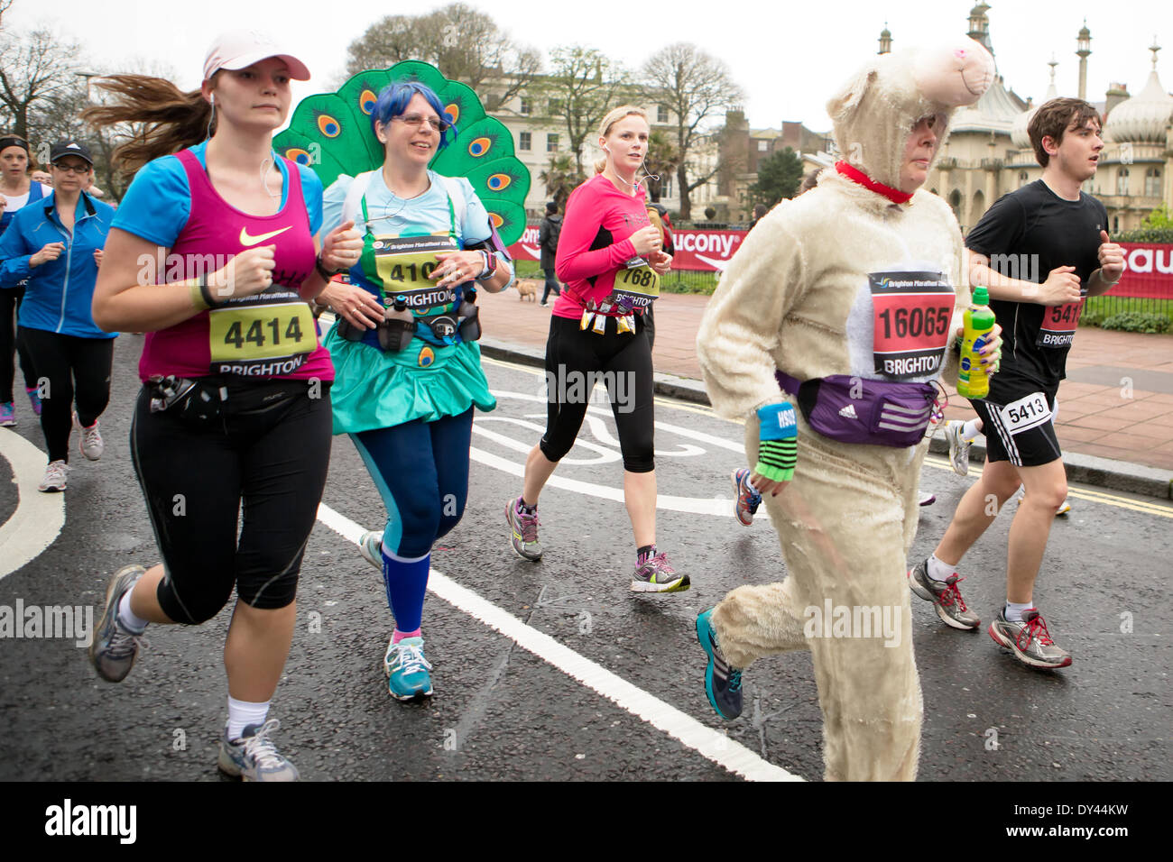 Brighton Marathon 2014, Sussex, UK Stockfoto