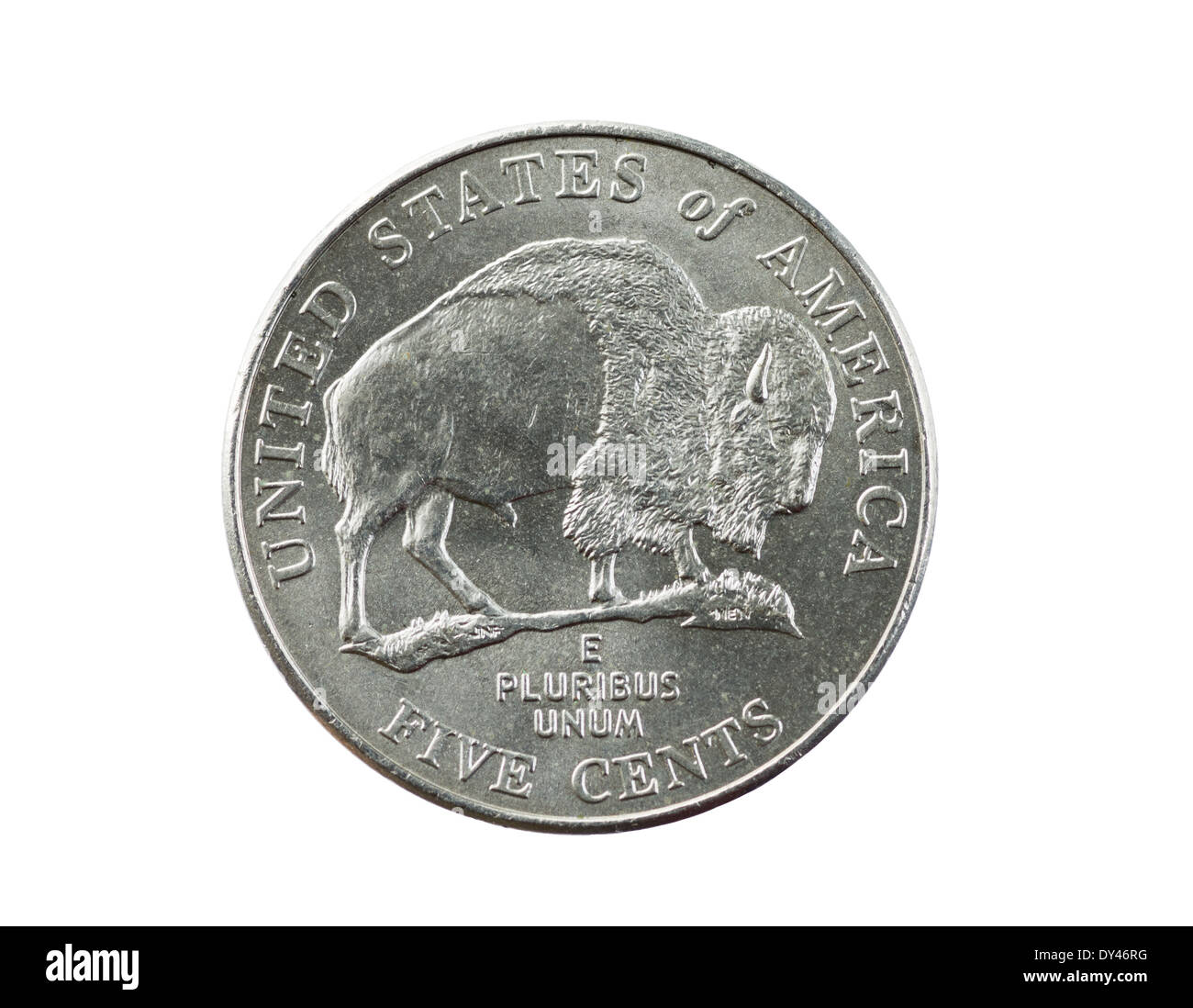 Büffel oder Bison nickel Münze isoliert auf weiss Stockfoto