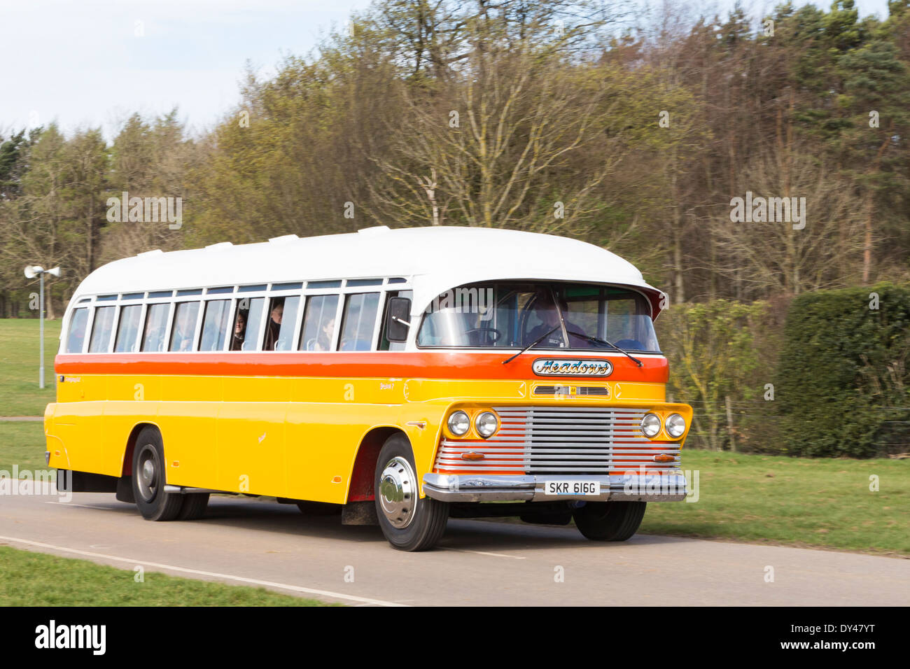 Fomer maltesischen Bus am Display des Erbes Fahrzeuge in Kent Stockfoto