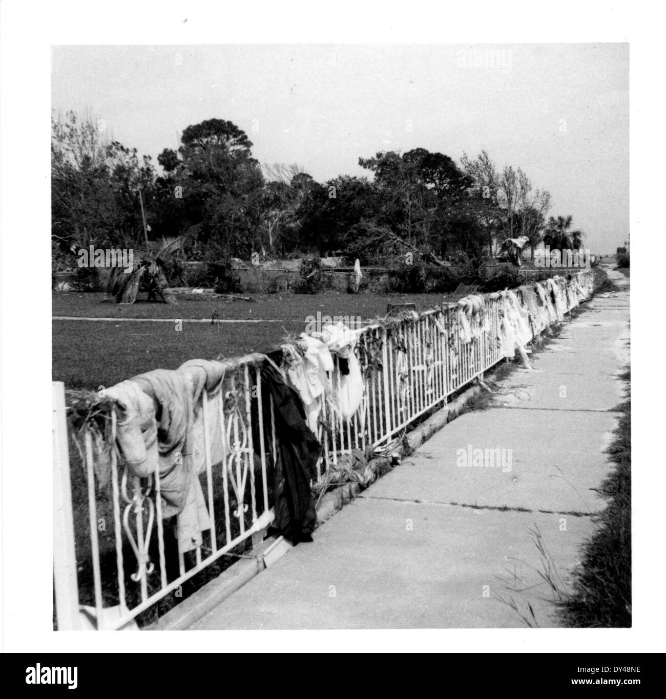 Panoramafoto, das die Innenstadt von Jackson, Mississippi, um 1914 zeigt und die Architektur und die städtische Entwicklung der Stadt zu Beginn des 20. Jahrhunderts hervorhebt. Stockfoto