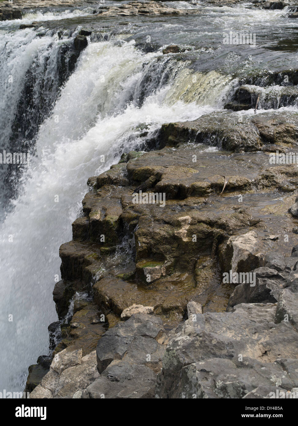 Detailansicht der Haruru Falls, in der Nähe von Paihia, Northland, Neuseeland. Stockfoto